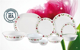 מהן צלחות קורנינג והיתרונות שלהן מהן צלחות קורנינג והיתרונות שלהן