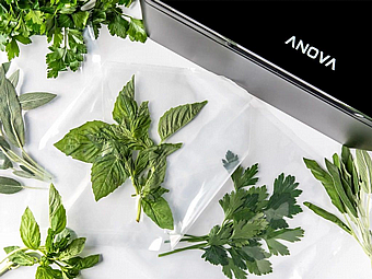 ����� � ����� ������ Anova Chamber Vacuum Sealer